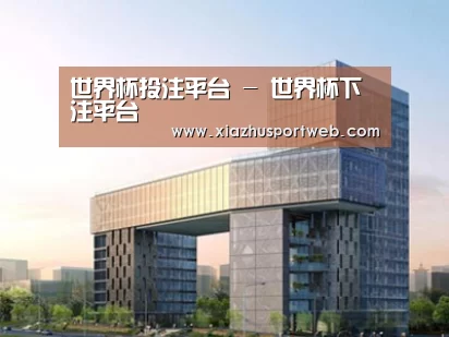 案例展示四