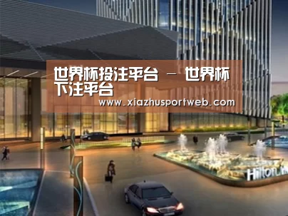 案例展示二